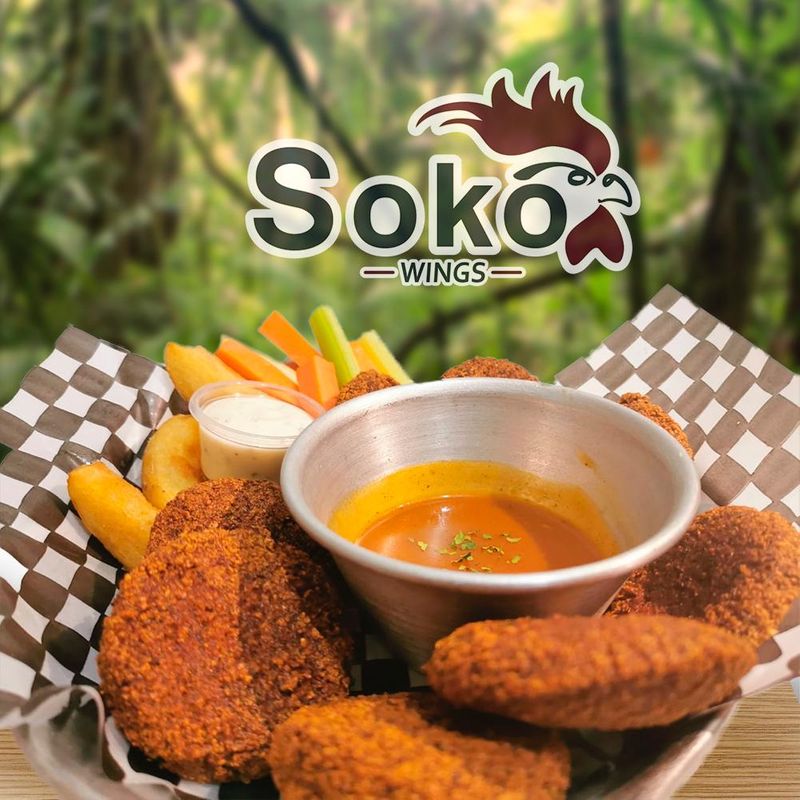 Soko Wings