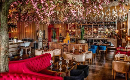 Dónde comer en Cartagena: 10 restaurantes para reservar (2026)