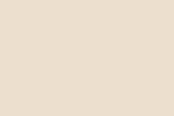 Restaurante GALLO COLORADO en Bogotá